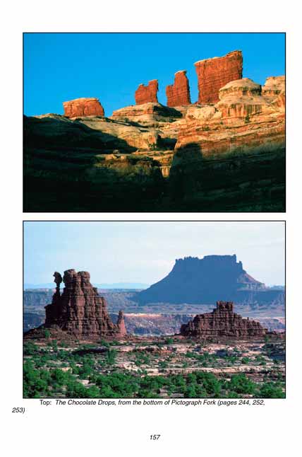 Chocolate Drops, Canyonlands National Park