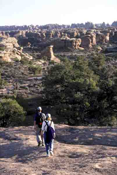 Canyonlands favorite hiking jeep national park roads trail #5